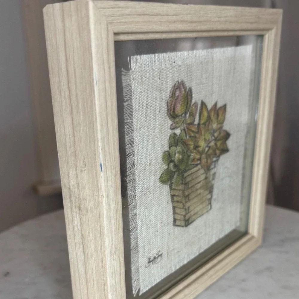 N/A succulent botanical